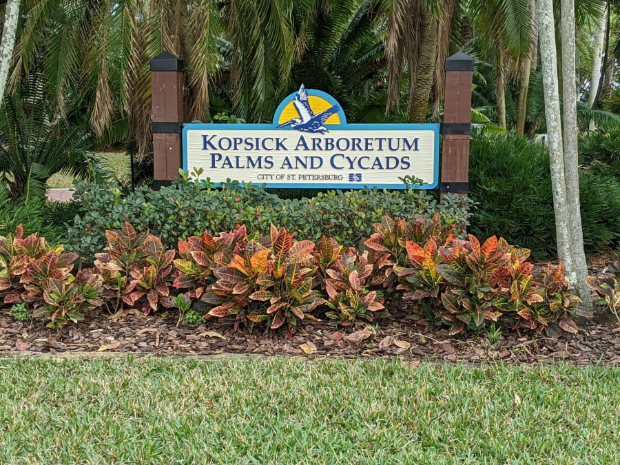 Gizella Kopsick Palm Arboretum – photo 1